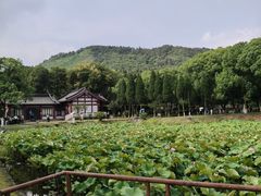 -南唐二陵