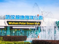 -海合安武汉极地海洋公园