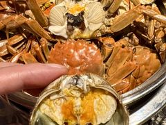 -聚盛源蒸汽海鲜火锅烤肉自助(巨川金海岸购物广场店)