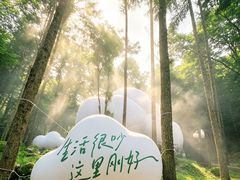 -洛阳白云山景区