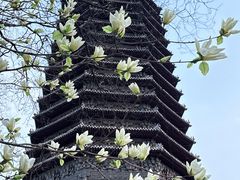 -玲珑塔公园