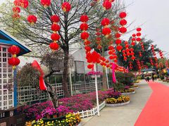 -广东花都香草世界旅游度假区