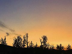 -济南国际园博园