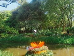 -上海共青森林公园