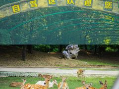 -常州淹城野生动物世界