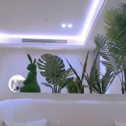 -白月光皮肤管理·德国LDM