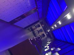 -金吉鸟健身游泳