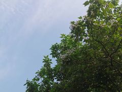 -莫子山公园