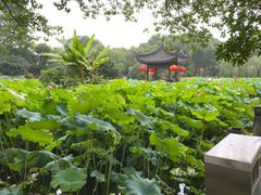 -丝绸小镇荻港古村