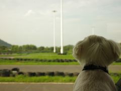 -极速星辰卡丁车赛车场(西山店)