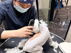 -宠颐生斯嘉宠物医院·急重症·心内科(谷阳北路分院)