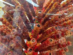 -和禄德冰糖葫芦(东四朝内菜市场店)