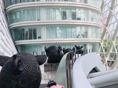 -凤凰中心