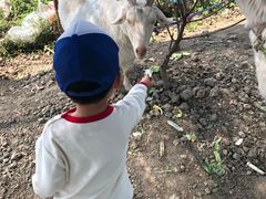 -小鱼草莓采摘园农家乐·小鱼餐厅
