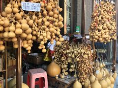 -中环花鸟鱼虫市场