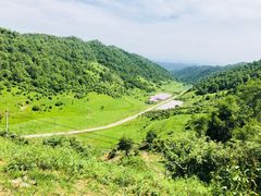 -关山草原