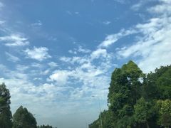 -东岳体育公园
