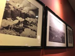 -星巴克(襄阳公园店)