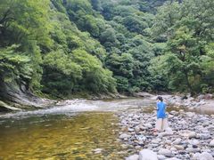 -黑河国家森林公园