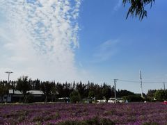 -嘉北郊野公园