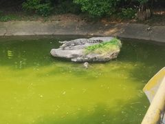 -南昌动物园