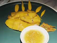 白切葵花鸡-陶陶居·雅园(凯华国际店)