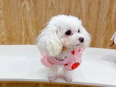 -和它·交个朋友·狗咖猫咖(爱琴海店)