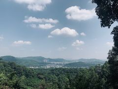 -火炉山森林公园