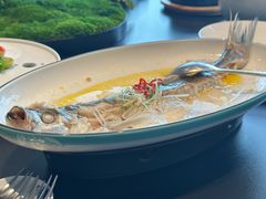 招牌鸡油蒸白丝鱼-同庆楼(金宝汇店)