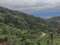 -杨家堂村