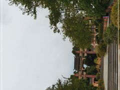 -张坝桂圆林公园