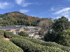 -龙井村