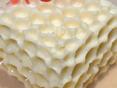 -木棉·醉心粤味(COCO Park店)