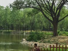 -将府公园