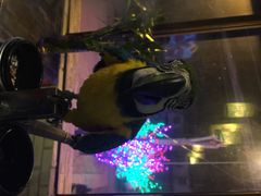 冰城小镇酒吧主题烧烤餐厅-冰城小镇音乐串吧·聚会餐厅(百子湾店)