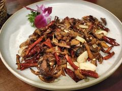 鲜炒黑牛肝菌-紫滇源云南生态菜(丹凤街店)