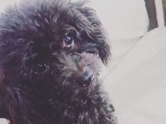 -赢吧Bliss音乐酒吧