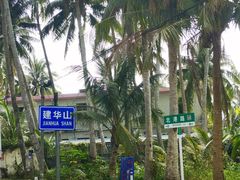 -东郊椰林