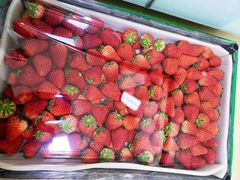 -西郊国际农产品交易中心