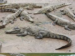 -广东茂名森林公园