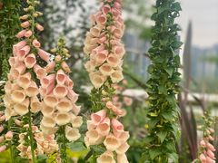 -茅草房·河畔园林火锅