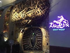 -大灰狼(中心书城店)
