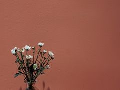 -琴岛本味馄饨馆(寿张路店)