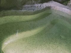 -海口观澜湖火山温泉谷