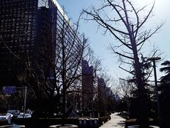 -顺城公园