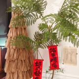 湖北路宝藏新中式包子铺，美女老板的美味魔法