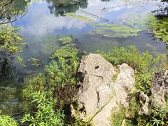 -花溪公园