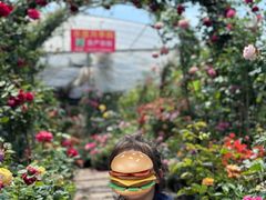 -龙大花卉苗木市场