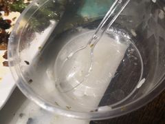 -海王老记