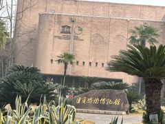 -自贡恐龙博物馆